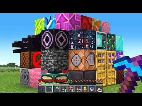 I Built a House With The RAREST BLOCKS in Minecraft Hardcore!