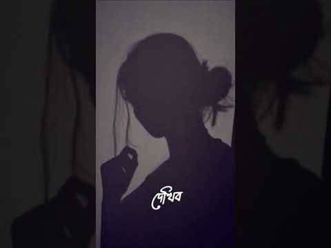 Tomare dekhilo | তোমারে দেখিলো | Slowed + reverb | Habib wahid  | Music Mania