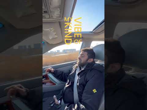 You aint my type, if you aint my vibe #travel #youtubeshorts #car #party