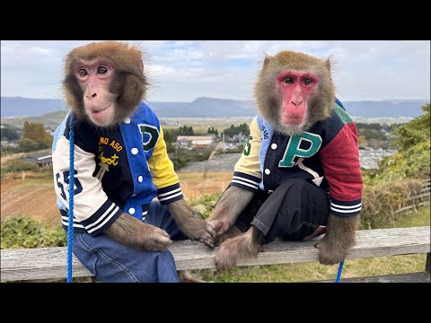 珍しくカイ、ルート兄弟で展望台へ