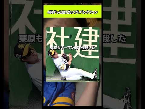 4月ずっと寝てたソフトバンクファン#shorts