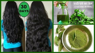 करी पत्ता बालों में 3 बार लगाया फिर जो असर हुआ आप चौक जायेंगे Hair Regrowth Remedy Stop Hairfall