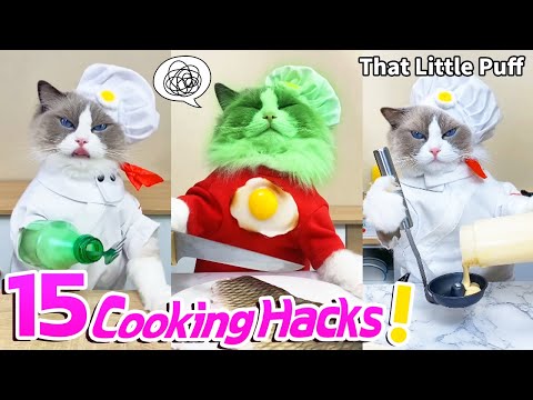 Meow Chef: 15 Cooking Hacks! | That Little Puff