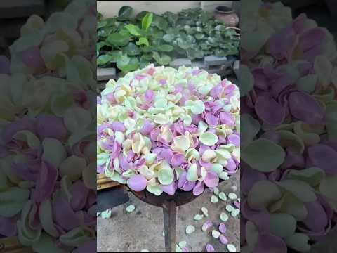 Préparation des Chips aux Crevettes 🦐 croustillantes à base de Pommes de terre #crevettes #shorts