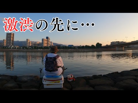 #416【ダンゴ釣り】激渋!!地元に凱旋もまさかの大苦戦…しかし最後最後に…！