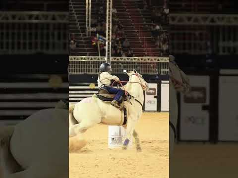Bella Maria - Tiny Champion Cowgirl with a Big Heart ❤️🏆