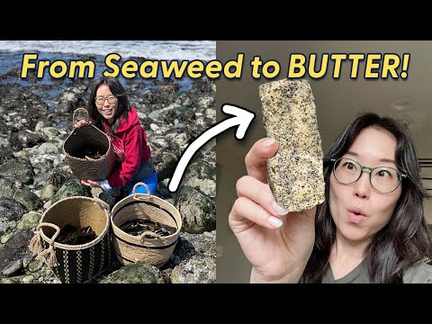 We Foraged Seaweed... Then Turned It Into BUTTER!