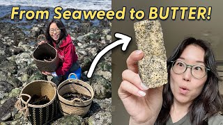 We Foraged Seaweed... Then Turned It Into BUTTER!