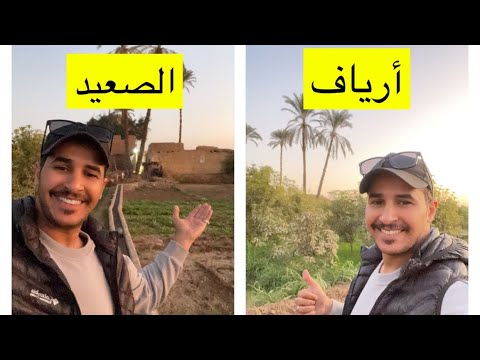 السكن في حي شعبي في الصعيد وزيارة الأرياف