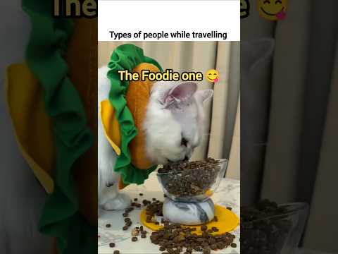 Types of people while travelling #relatable #cat #funny #shorts