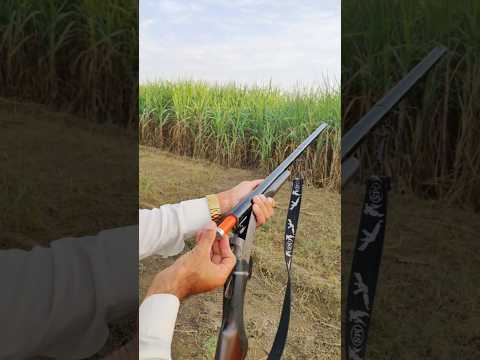 Shooting lover