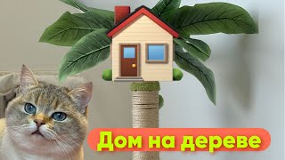 Дом на дереве (часть1)