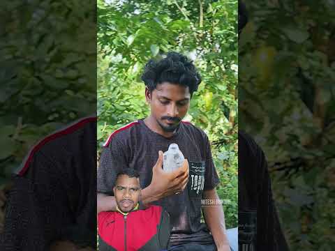 भिकारी चा दिमाक कॉमेडी व्हिडिओ 2025 #short