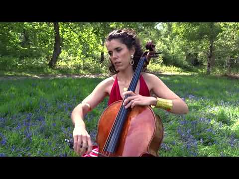 Now We Are Free (Gladiator)