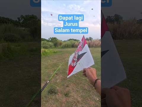 ngejar layangan putus ngok #layangan #pipas #layanglayang #kite #kitefighter