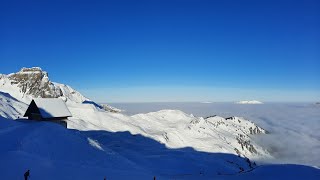 POWDER SKIING February 2021 - Flumserberg Switzerland