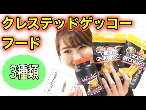 【クレステッドゲッコー】ヤモリの人工フード3種類をご紹介