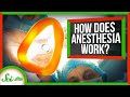 Understanding General Anesthesia