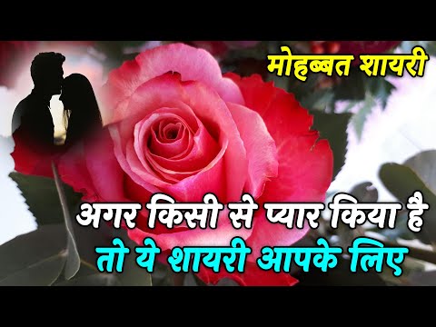 दिल छू लेने वाली शायरी | Best Hindi Shayari video | Love Shayari | शायरियों का खज़ाना