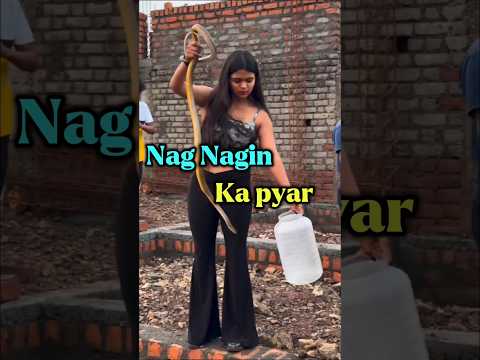 #jaidmeel
