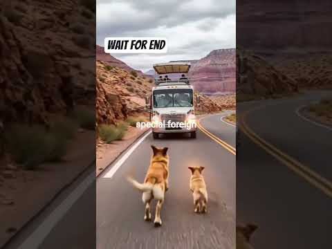 Emotional masg ai dog #youtubeshorts #feedshorts #cutebaby #ytshorts #dog #puppy #ai