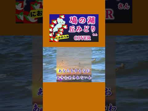 鳰の湖(丘みどり)  cover  #shorts 切抜 滋賀県のご当地ソングを歌ってみた　歌詞付 キー－2