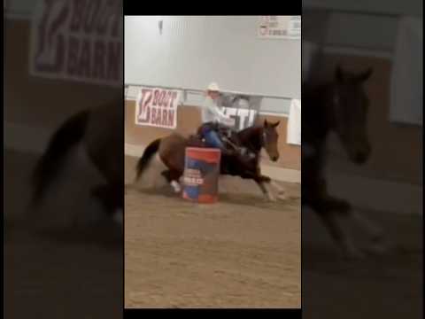 First run in the new saddle!#blowup #horse #rodeo #rodeolife #barrelhorse #bayhorse #saddle #fup #❤️