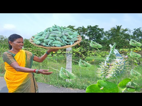 Village Prawn Curry Recipe | Veali Paruthi Poriyal Cooking in Village | Side Dish Recipes