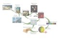 Integrated Science Concepts and Applications