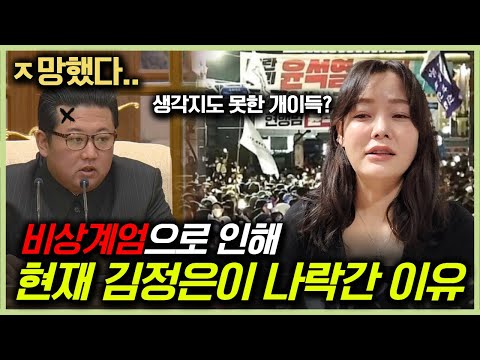 비상계엄으로 인해 대한민국보다 북한이 더 난리 난 상황! 급하게 내린 대한민국 계엄뉴스