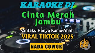 Karaoke Dj Cinta Merah Jambu Nada Cowok