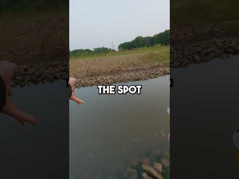 No Way this Spot Holds Fish