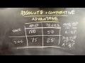 Comparative and Absolute Advantage Concepts