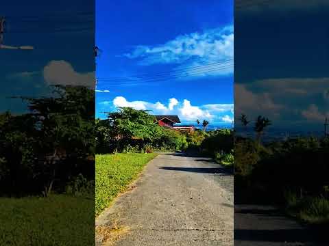 Fathers Day Run #21062026