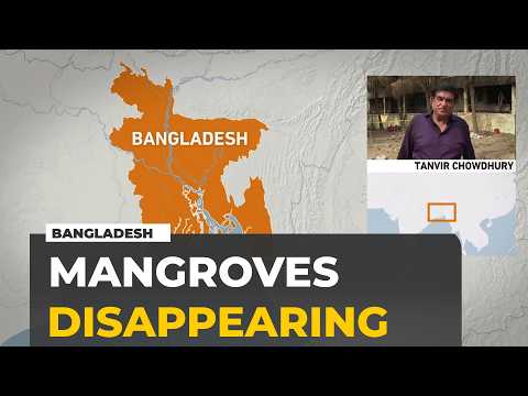 Mangrove loss threatens livelihoods and wildlife on Bangladesh’s Sonadia Island