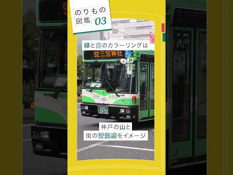 【のりもの図鑑】市バス~デザインに隠された神戸らしさ~