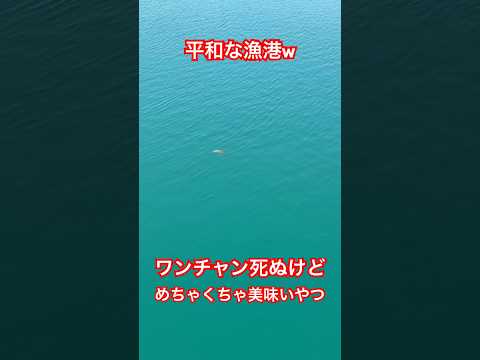 わかる人はわかるやつ🐟