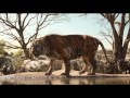 Trailer 1 do filme The Jungle Book