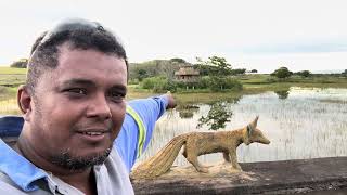 A arca de Noel no Hotel Fazenda Lago Ideia