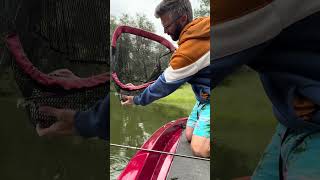 Catching a catfish while bass fishing! #fishing #bass #bassfishing #largemouthbass