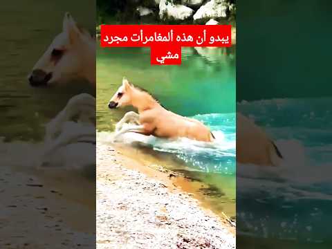 مسكة الرجل خمجة الغرقه #shaorts
