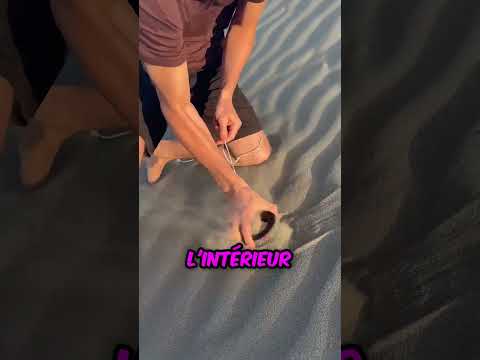 Pourquoi ce gars jette-t-il des aimants sur le sable ?