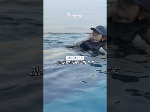 강릉으로 <strong>호캉스</strong> 왔습니다 #밍로그
