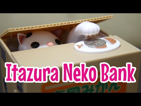 Itazura Neko Bank (Video Short) ~ いたずらBANK