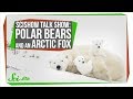Polar Bears and Arctic Ecosystem