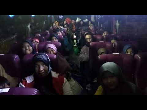 VIRALL SDN TBS 07