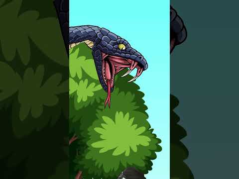 Poor TV Woman vs Bad TV Man?Will You Help TV Woman??? | Funny Animation #shorts