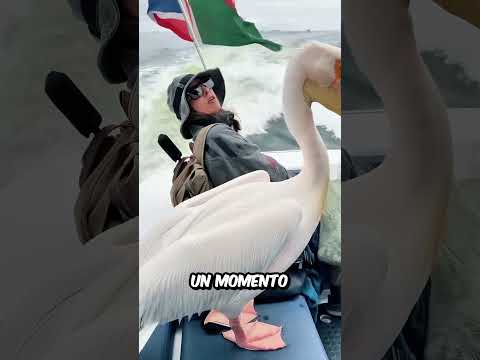 El MOMENTO más INCREIBLE que verás HOY, esto solo pasa UNA VEZ en la VIDA