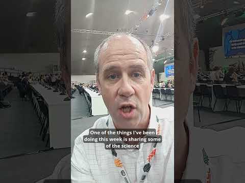 This is the image alt text