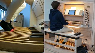 Viva la Vida (Organ Cover / Coldplay) - OrganFox - St. Marien, Schillig